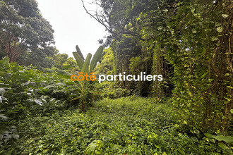 achat terrain ste-rose 97115