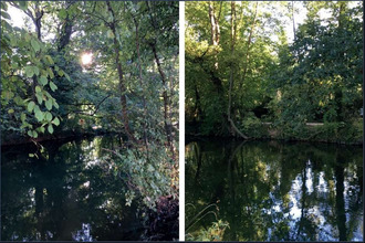 achat terrain strasbourg 67100