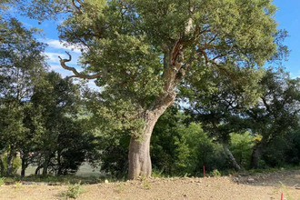 achat terrain taillet 66400