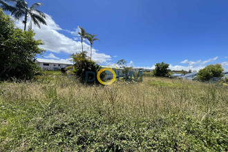 achat terrain tampon 97418