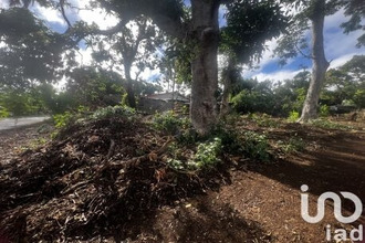 achat terrain tampon 97418