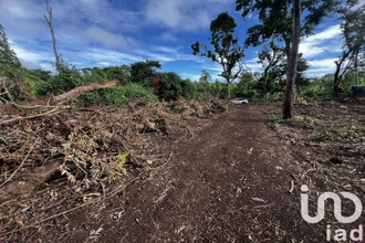 achat terrain tampon 97418