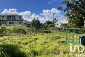 achat terrain tampon 97418