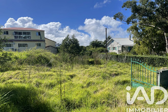 achat terrain tampon 97418