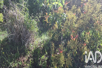 achat terrain tampon 97418