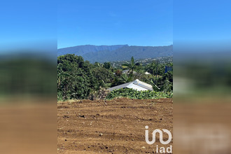 achat terrain tampon 97430