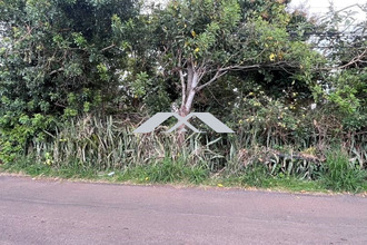 achat terrain tampon 97430