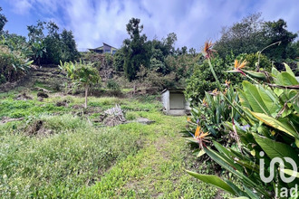 achat terrain tampon 97430