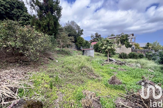 achat terrain tampon 97430