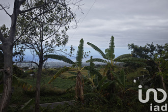 achat terrain tampon 97430