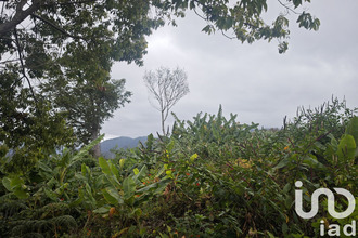 achat terrain tampon 97430