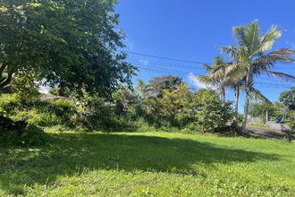 achat terrain tampon 97430