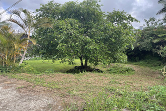 achat terrain tampon 97430