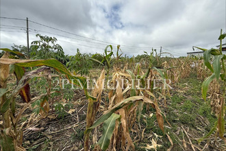 achat terrain tampon 97430