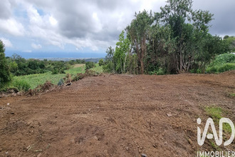 achat terrain tampon 97430