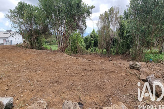 achat terrain tampon 97430