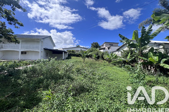 achat terrain tampon 97430