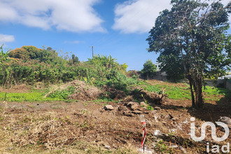 achat terrain tampon 97430