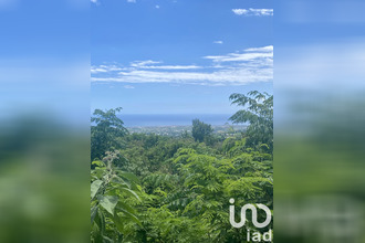 achat terrain tampon 97430