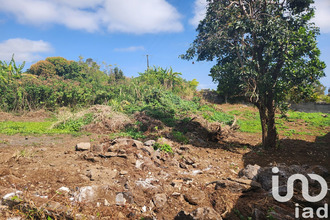 achat terrain tampon 97430