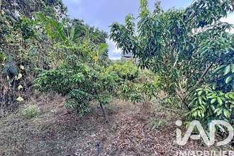 achat terrain tampon 97430