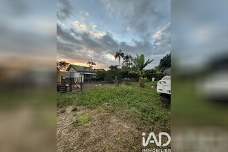 achat terrain tampon 97430