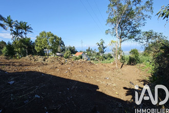 achat terrain tampon 97430