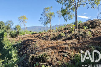 achat terrain tampon 97430