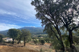 achat terrain tavaco 20167