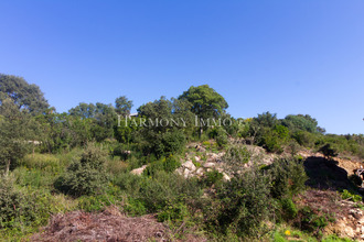 achat terrain tavaco 20167