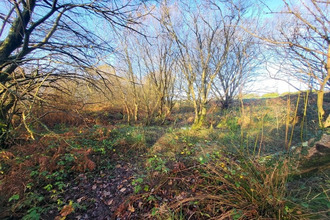 achat terrain telgruc-sur-mer 29560