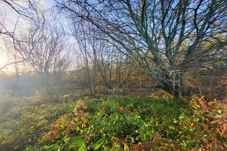 achat terrain telgruc-sur-mer 29560