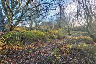 achat terrain telgruc-sur-mer 29560