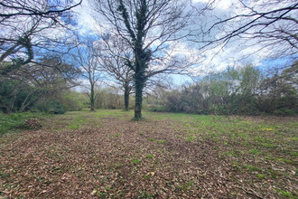 achat terrain telgruc-sur-mer 29560