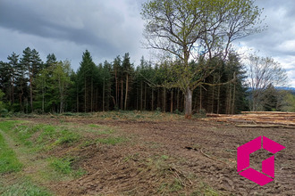 achat terrain tence 43190