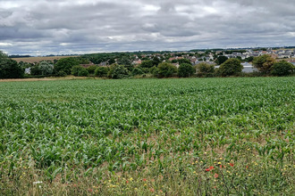 achat terrain thaon 14610