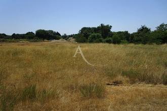 achat terrain thesee 41140