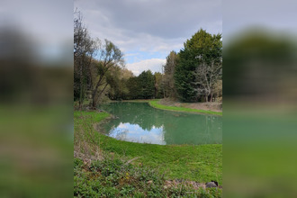 achat terrain thiaucourt-regnieville 54470