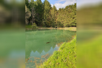 achat terrain thiaucourt-regnieville 54470