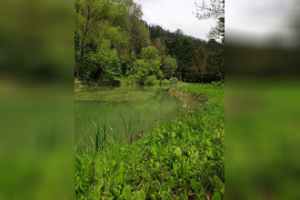 achat terrain thiaucourt-regnieville 54470