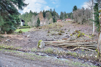 achat terrain thollon-les-memises 74500