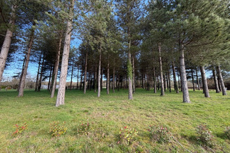 achat terrain tierce 49125