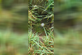 achat terrain torcy-le-petit 76590