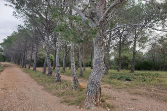 achat terrain torderes 66300