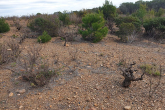 achat terrain torderes 66300