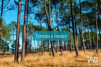 achat terrain tosse 40230