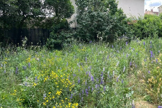 achat terrain toulouse 31500