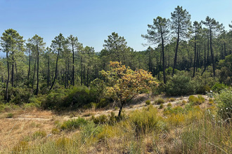 achat terrain tourrettes 83440