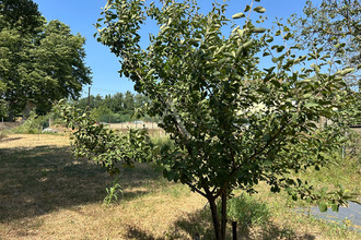 achat terrain trebes 11800