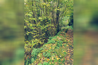 achat terrain treignac 19260